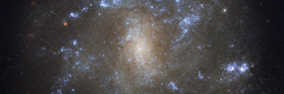 Your Template (en-GB)